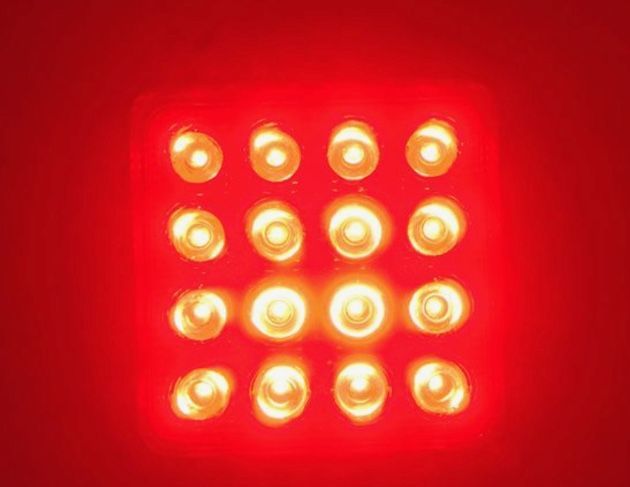 The LEDS…